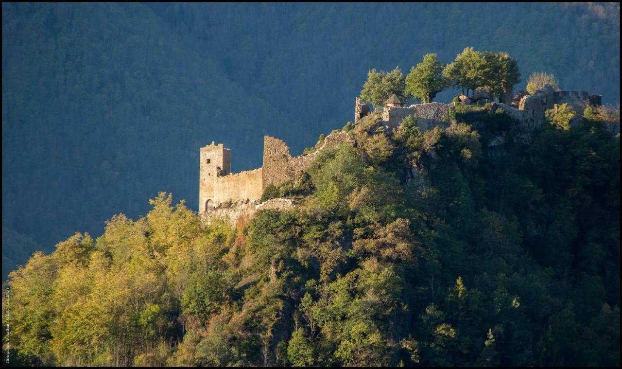 La Forge D'Andribet Villa Axiat Kültér fotó